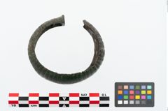 Foto von Bronzemelonenarmreif (NHMW-PRAE-025388)